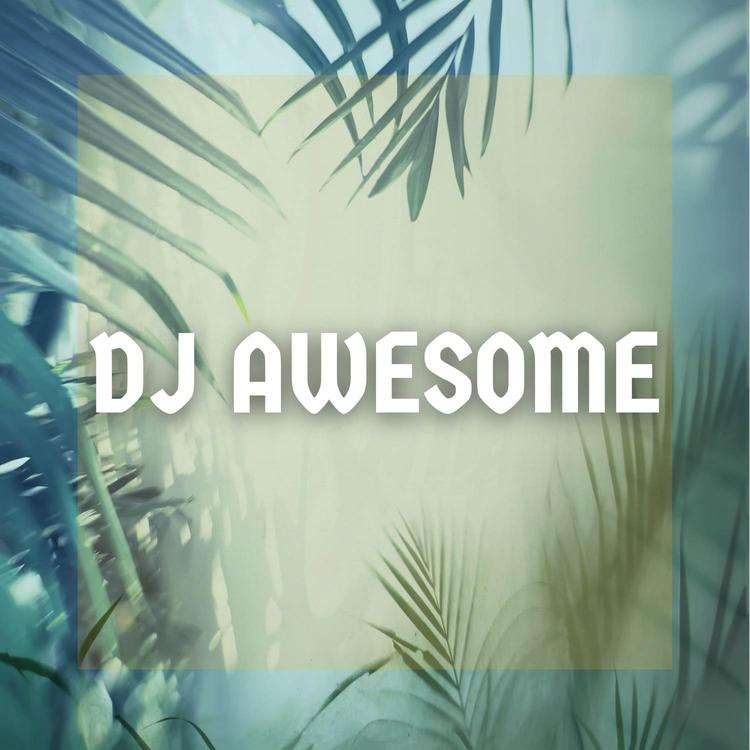 DJ Awesome's avatar image
