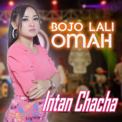 Bojo Lali Omah's cover