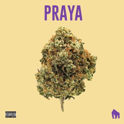 Praya By JayA Luuck, Predella, Pedro Lotto, Paiva Prod, White Monkey Recordings's cover