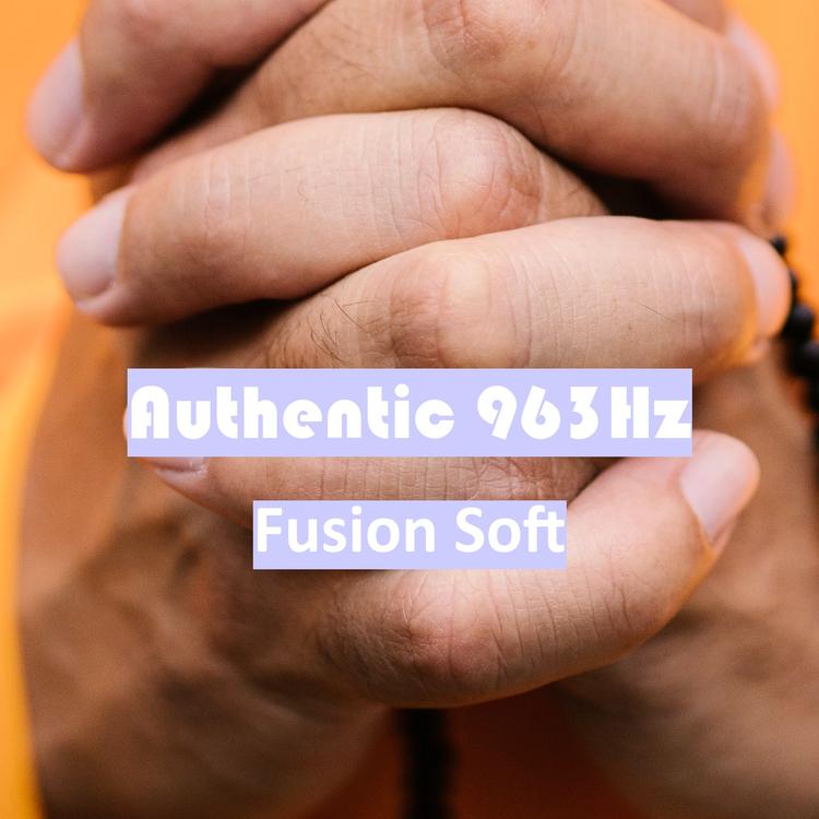 Fusion Soft's avatar image