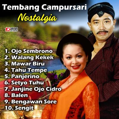 Tembang Campursari Nostalgia's cover