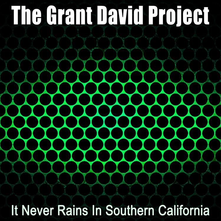 The Grant David Project's avatar image