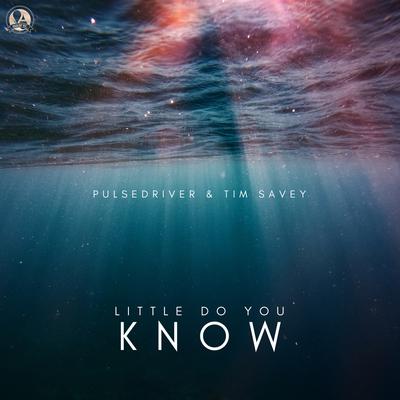 Little Do You Know By Pulsedriver, Tim Savey's cover