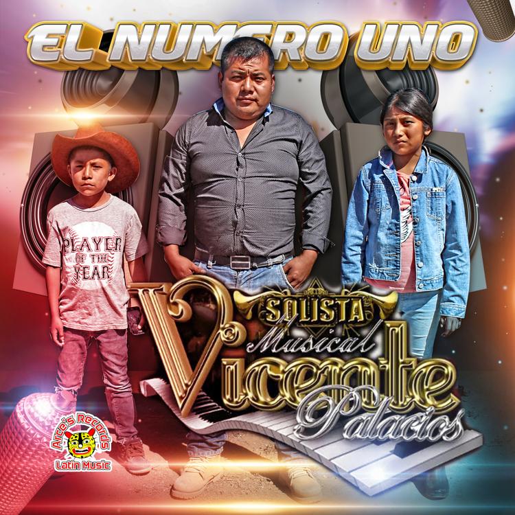 Solista Musical Vicente Palacios's avatar image