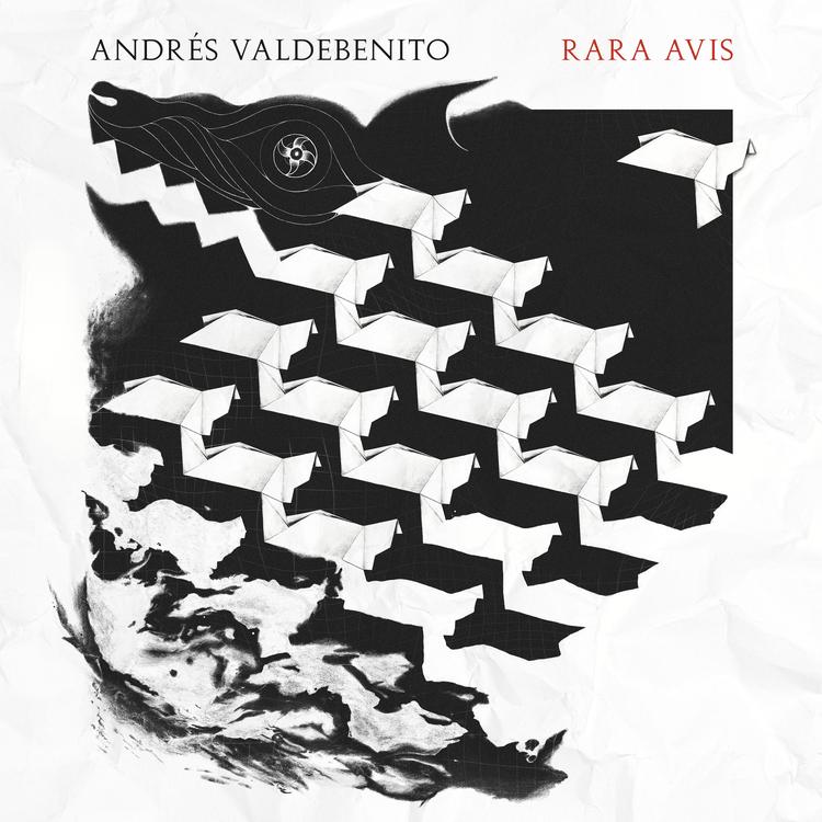 Andrés Valdebenito's avatar image