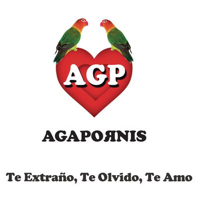 Te Extraño, Te Olvido, Te Amo By Agapornis's cover