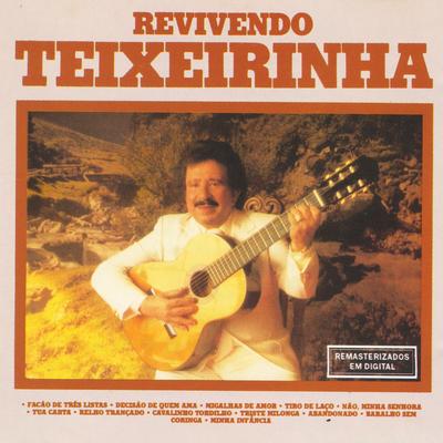 Cavalinho tordilho By Teixeirinha's cover