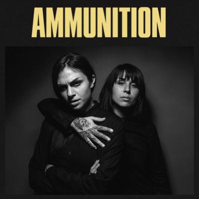 Ammunition's cover