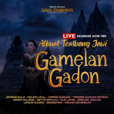 Album Tembang Jawi Gamelan Gadon (Live Taman Mini Indonesia Indah)'s cover