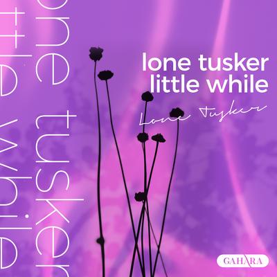 Little While By Lone Tusker's cover