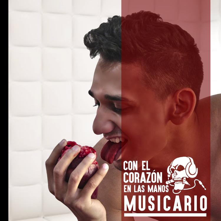 Musicario's avatar image