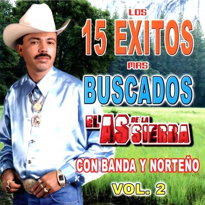 Los 15 Éxitos Mas Buscados (Vol. 2)'s cover