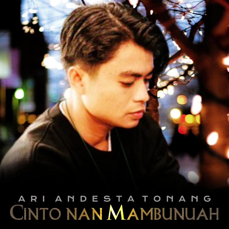 Ari Andesta Tonang's avatar image