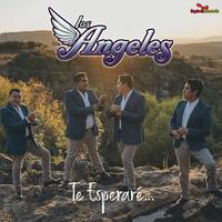 Trío Los Ángeles's avatar cover