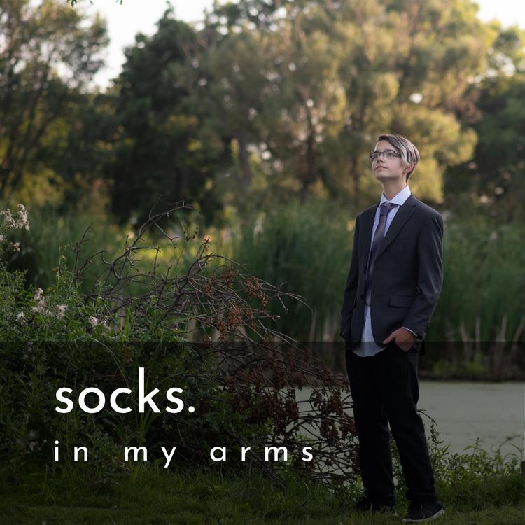 socks.'s avatar image