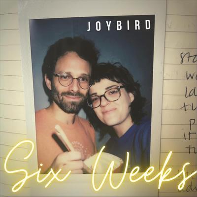 JoyBird's cover