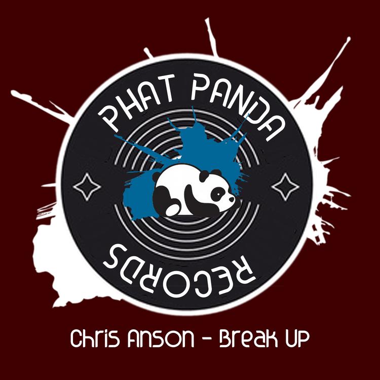 Chris Anson's avatar image