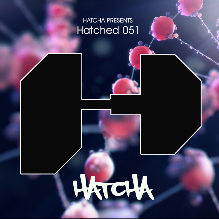 Hatcha's avatar image