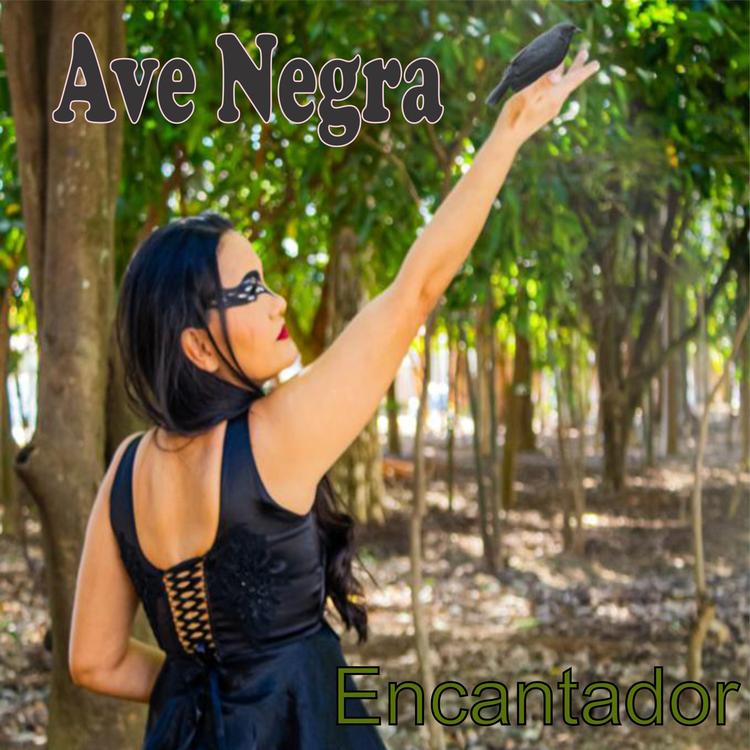 Ave Negra's avatar image