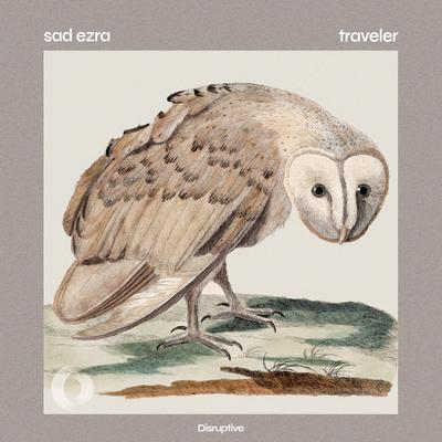 traveler By sad ezra's cover