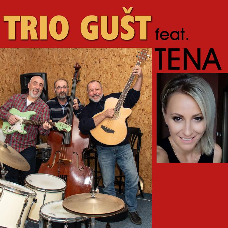 Trio Gušt's avatar image