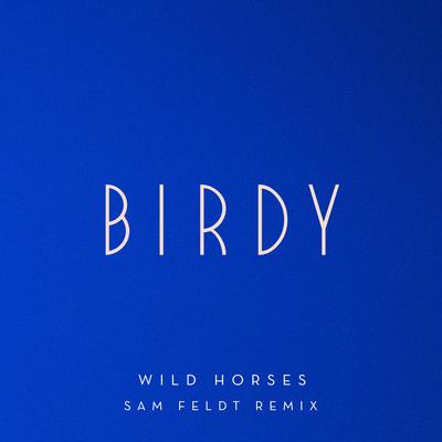Wild Horses (Sam Feldt Remix) By Birdy's cover