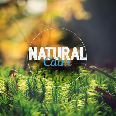 Natural Retreats By Nature Sounds's cover