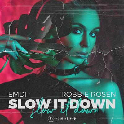 Slow It Down By EMDI, Robbie Rosen's cover