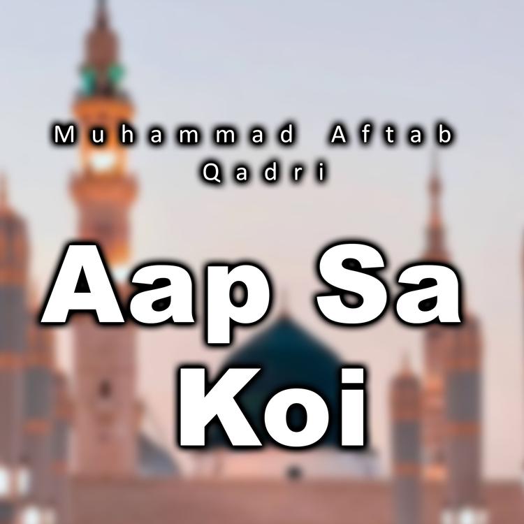 Muhammad Aftab Qadri's avatar image