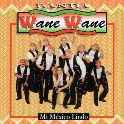 Mi México Lindo's cover