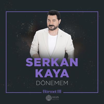 Dönemem (İbrahim Erkal Hürmet 3)'s cover