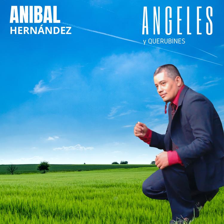 Aníbal Hernández's avatar image