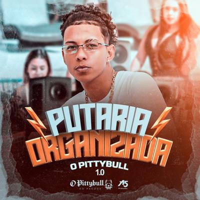 Putaria Organizada 1.0's cover