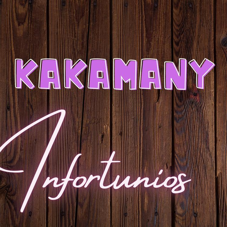 KAKAMANY's avatar image