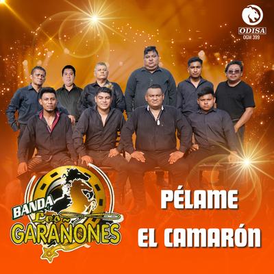 Banda los Garanones's cover