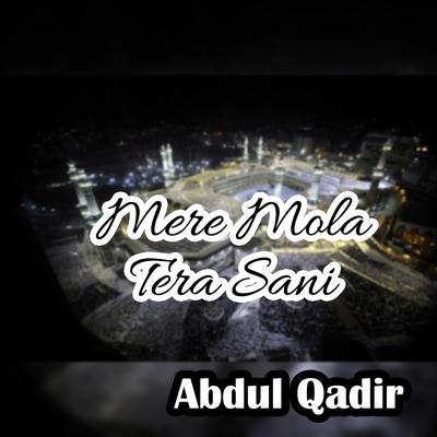 Mere Mola Tera Sani's cover