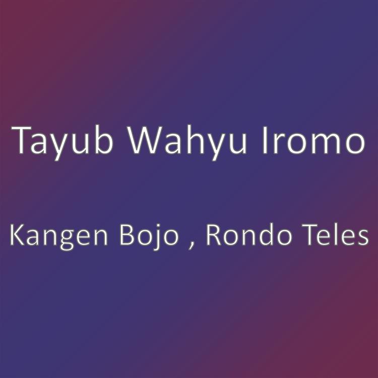 Tayub Wahyu Iromo's avatar image