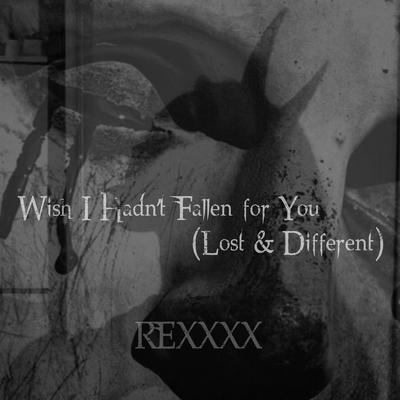 Wish I Hadn't Fallen for You (Lost & Different Redo.)'s cover