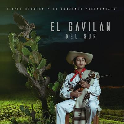 El Gavilán del Sur's cover