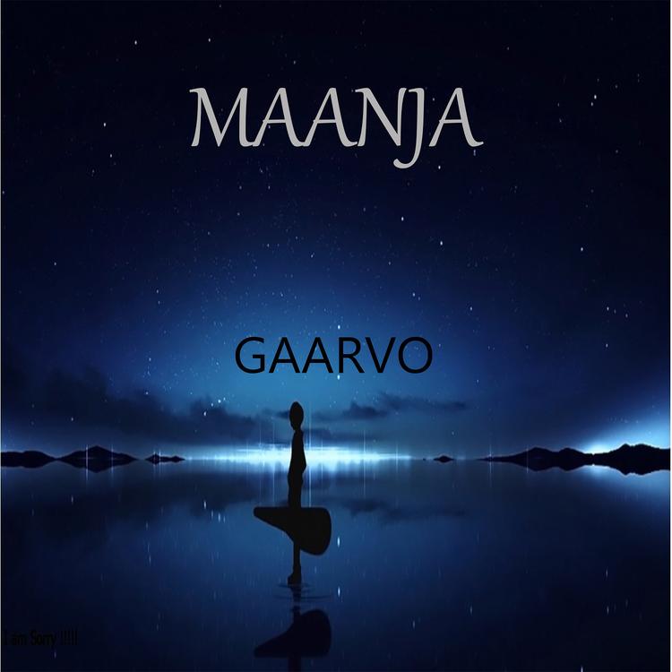 Gaarvo's avatar image