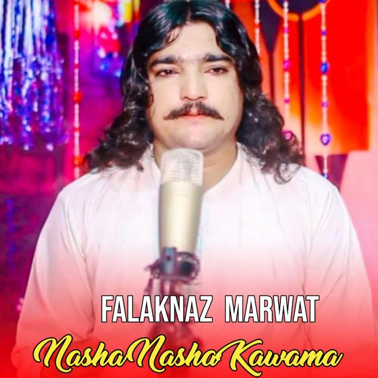 Falaknaz Marwat's avatar image