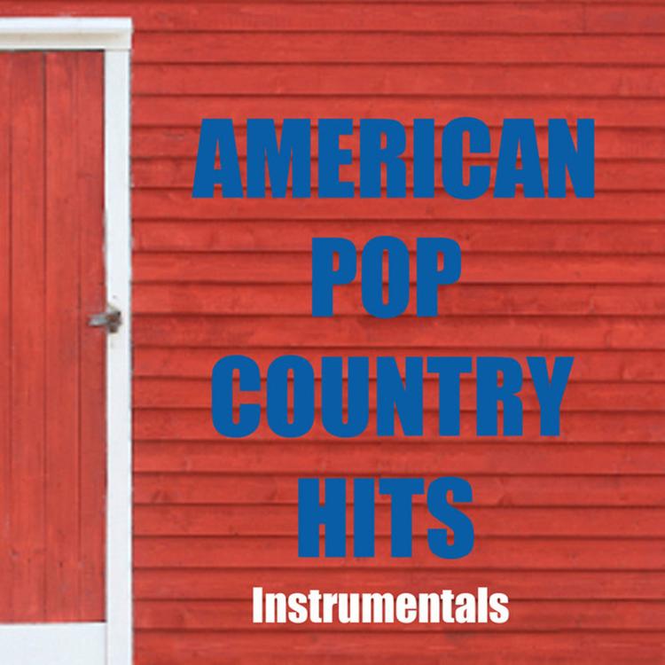 American Pop Country Hits's avatar image