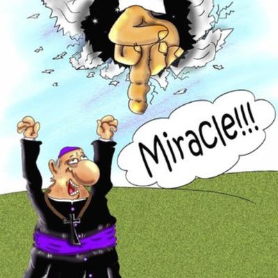 Miracle's cover