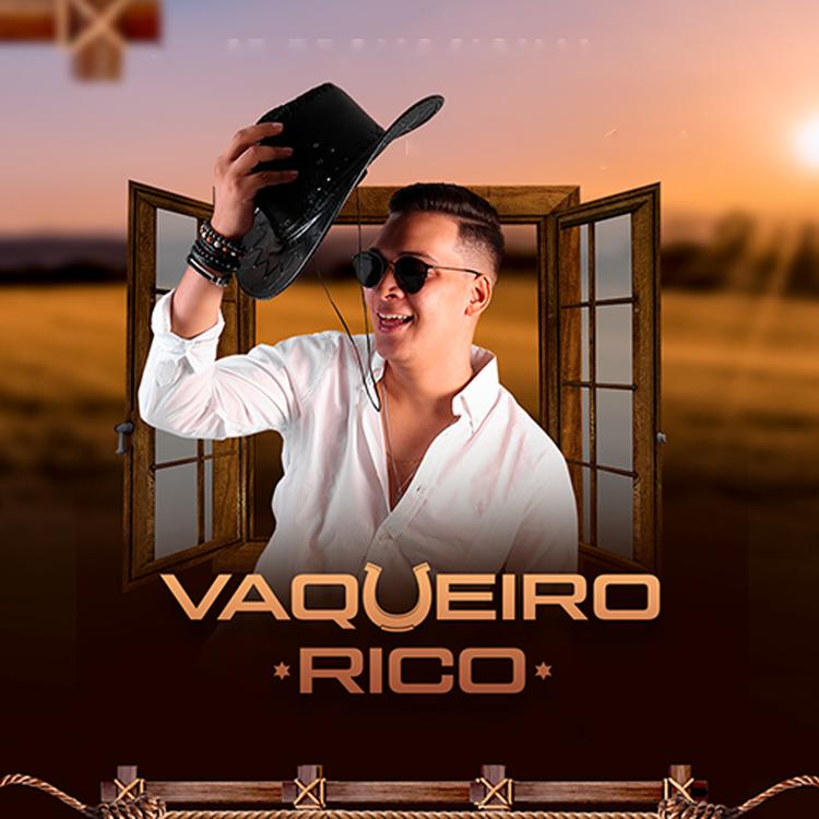 vaqueiro rico's avatar image