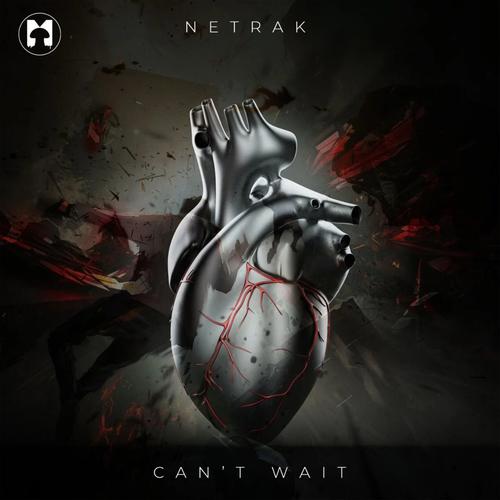 Netrak's cover