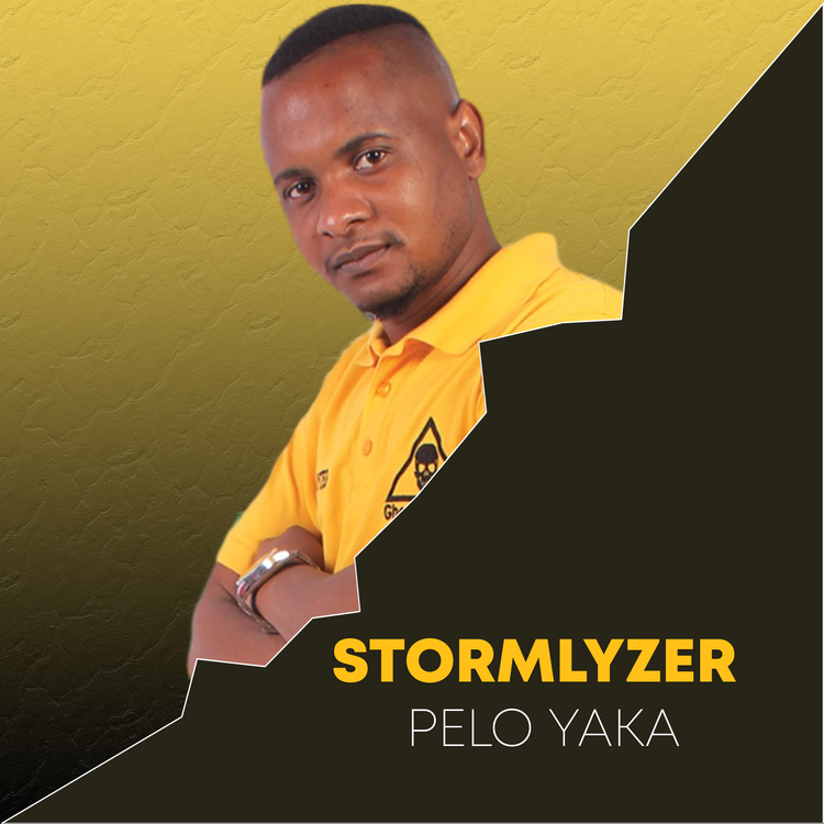 Stormlyzer's avatar image