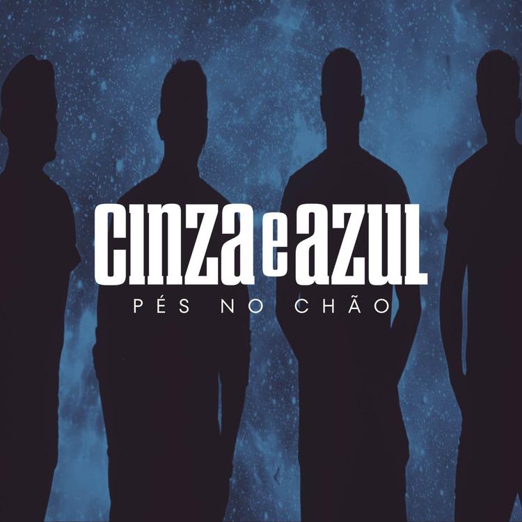 Cinza e Azul's avatar image