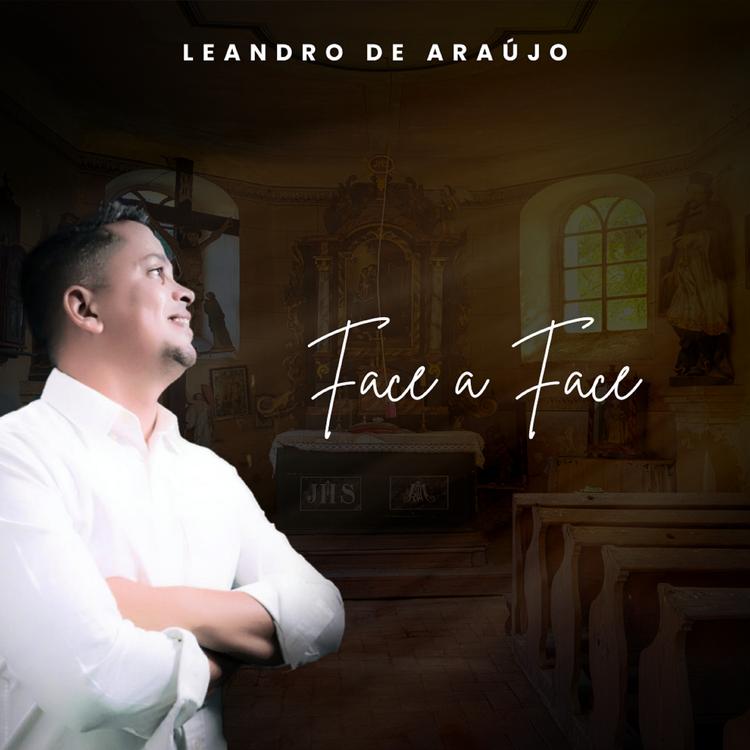 Leandro de Araújo's avatar image