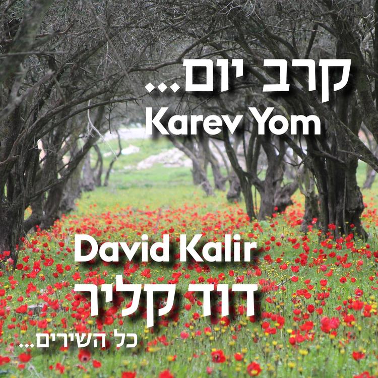 David Kalir's avatar image