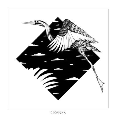 Cranes By Monkey Safari's cover